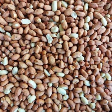 Földimogyoró hántolt, hártyás lédig 1kg